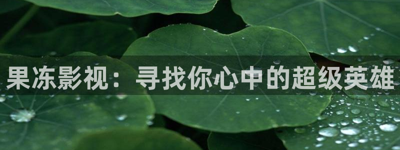 新闻图片
