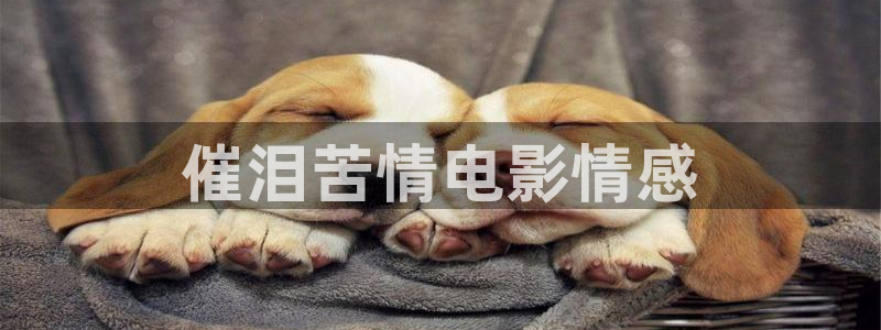 神马免费高清影院在线观看
