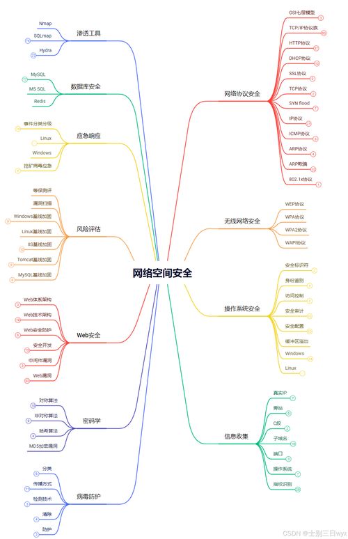 网络安全自学教程 软件开发中的安全问题与解决方案