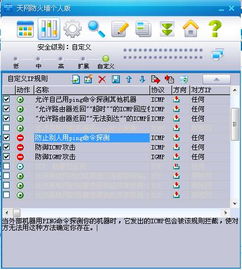 金山逍遥与网络信息安全软件开发 构建数字时代的安全屏障